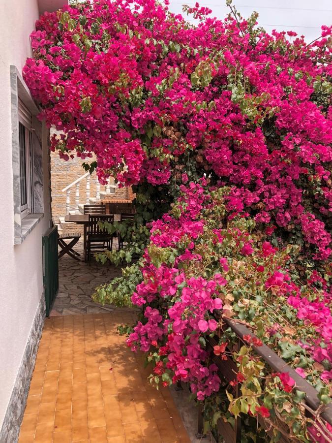 Bed and Breakfast Lagun Santo Isidoro Екстер'єр фото